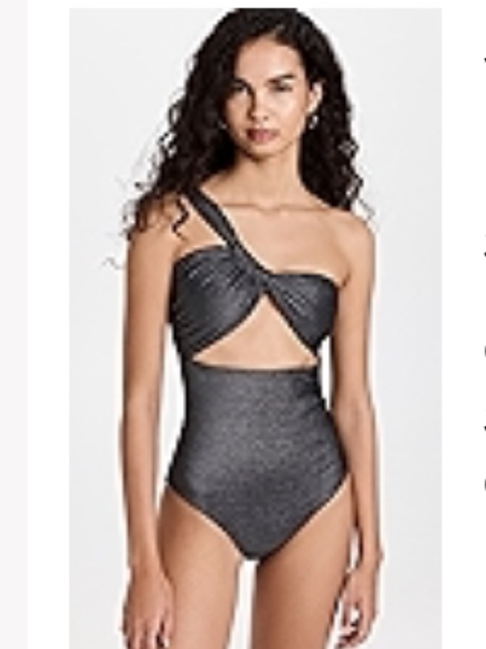 Sara Cristina Narcissus One Piece Swimsuit in Dark Silver Shimmer Size Large